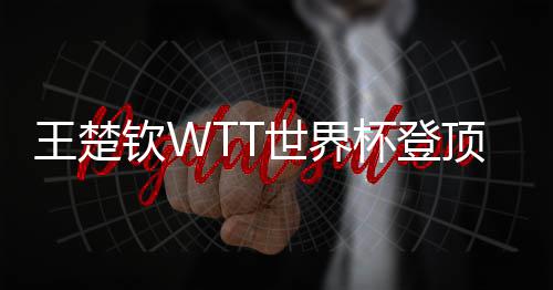 杯登顶实现三连冠钦W王楚世界