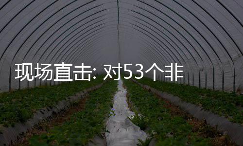 面实货物通关非洲直击对5建交3个国全关税现场全国施零首票深圳