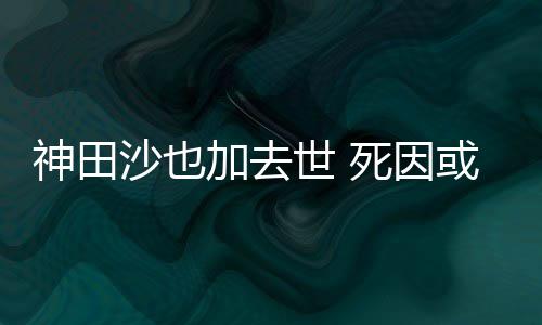 或是田沙自杀也资加去料介神田沙也世 死因 神绍