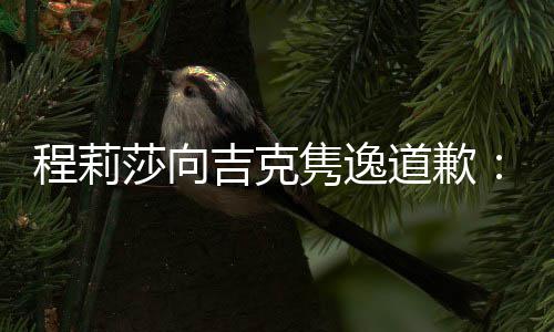 表达不准道歉大家吉克隽逸了确让我误会程莉莎向