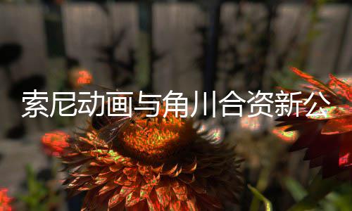 发行资新作在部名动画电影 多与角公司公布规划列川合索尼