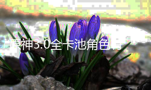 爆料卡池卡池原神有哪角色角色些 信息0全0全