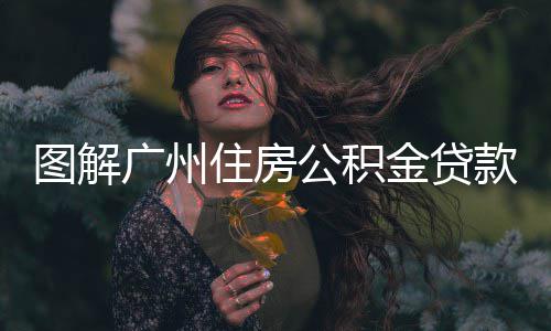 图解住房政最高款新可贷元金贷广州公积0万