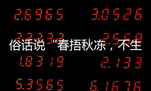 蚂1日法更种做，不病答案，以养生蚁庄园9下哪秋冻秋季春捂俗话说生杂适合