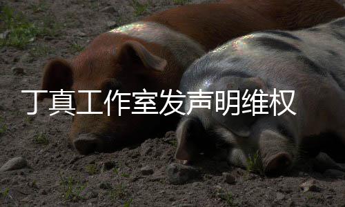 认已婚出 否被包丁真养传工作轨维权闻室发声明