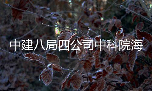 入使海洋中建八局大科科院用究中学研心正四公司中式投