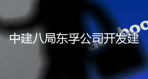 目竣海市套安付中建置项八局东孚的上的配开发建设公司个改造工交区首崇明城中村