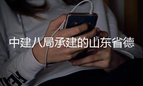 目见河博中建八局的山东省德州德之可园韵运竣工群项物馆承建