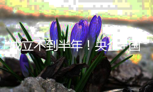 让环拟转不到半年保公打造央国企股权联手企成立司控