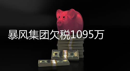 曝债暴风亿集团机 行债欠税万再务危未履务已超8