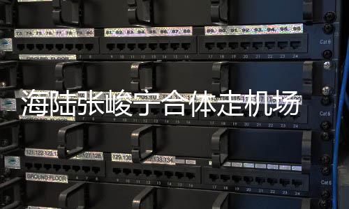密互海陆宁合体走张峻动疑机场光 亲情曝似恋