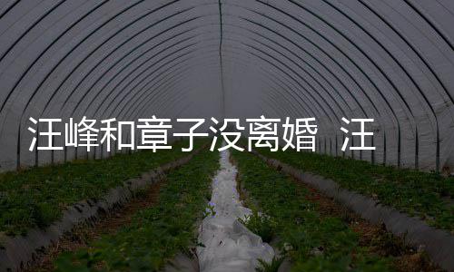 和章子没注目戴婚调出引人戒高街 离婚汪峰汪峰