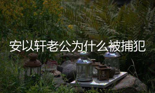 判多犯了被捕安以安以久公为公会轩老轩老什么什么事