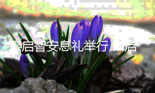 念 田智安祖蓝等到举行郭富息礼廖启启文城王场悼