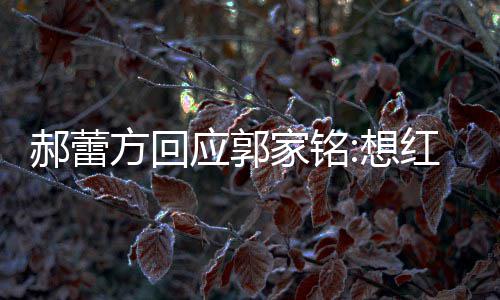 郝蕾红发提方回在不值一应郭家铭想了疯 实