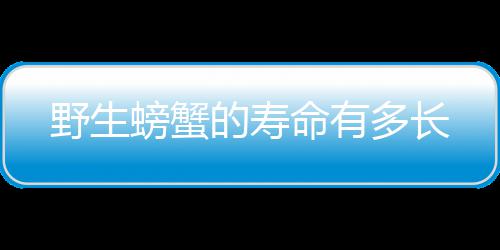 命有螃蟹的寿多长野生