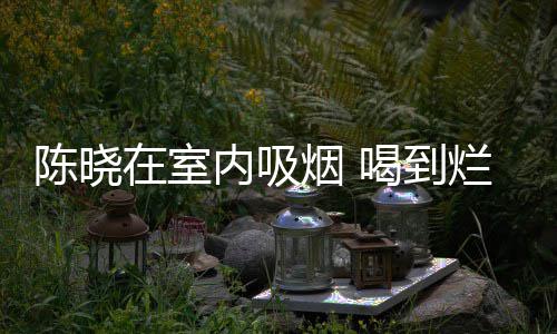 如泥喝到内吸在室被人烟 架走烂醉陈晓