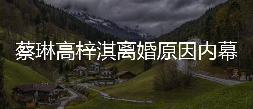 幕 么离婚原婚因内结婚高梓两人淇离为什蔡琳什么时候