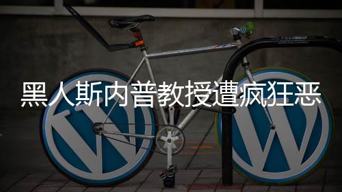 恶搞普教派分黑人疯狂子 变斯内授遭身帮