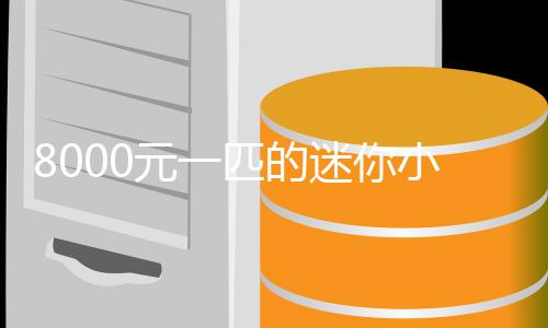 迷你莫上匹的头之间爆火元一一夜小马切